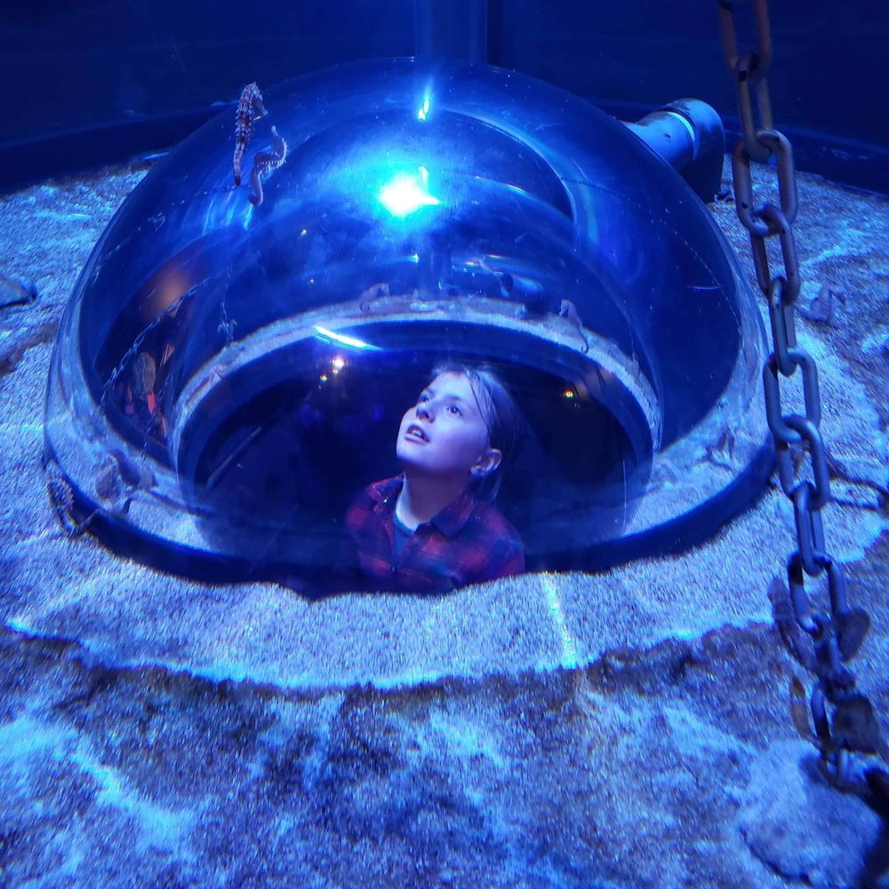 Meet your Posher, Jacqueline